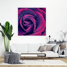 Lade das Bild in den Galerie-Viewer, Spannrahmenbild Pinke Rose mit Wassertropfen Quadrat