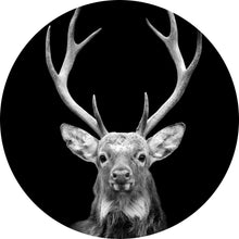 Lade das Bild in den Galerie-Viewer, Aluminiumbild gebürstet Portrait Anmutiger Hirsch Kreis