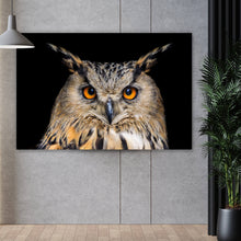 Lade das Bild in den Galerie-Viewer, Poster Uhu Portrait auf Schwarz Querformat