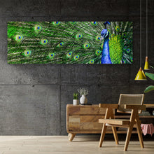 Lade das Bild in den Galerie-Viewer, Leinwandbild Prächtiger Pfau Panorama