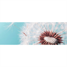 Lade das Bild in den Galerie-Viewer, Aluminiumbild gebürstet Pusteblume auf Türkis Panorama
