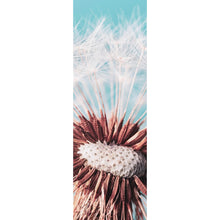 Lade das Bild in den Galerie-Viewer, Aluminiumbild Pusteblume auf Türkis Panorama Hoch