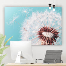 Lade das Bild in den Galerie-Viewer, Aluminiumbild Pusteblume auf Türkis Querformat