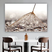 Lade das Bild in den Galerie-Viewer, Acrylglasbild Pusteblume bei Regen Querformat