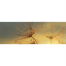Lade das Bild in den Galerie-Viewer, Leinwandbild Pusteblume bei Sonnenuntergang Panorama