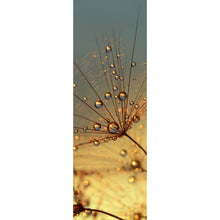 Lade das Bild in den Galerie-Viewer, Acrylglasbild Pusteblume bei Sonnenuntergang Panorama Hoch