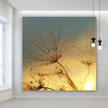 Lade das Bild in den Galerie-Viewer, Spannrahmenbild Pusteblume bei Sonnenuntergang Quadrat