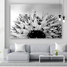 Lade das Bild in den Galerie-Viewer, Poster Pusteblume im Morgentau Querformat