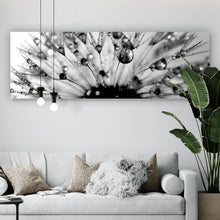Lade das Bild in den Galerie-Viewer, Poster Pusteblume im Morgentau Panorama