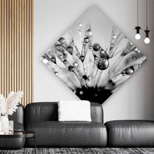 Lade das Bild in den Galerie-Viewer, Poster Pusteblume im Morgentau Raute