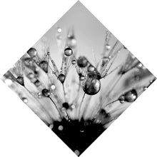 Lade das Bild in den Galerie-Viewer, Leinwandbild Pusteblume im Morgentau Raute