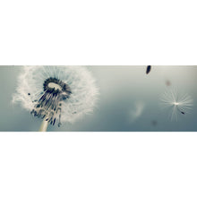 Lade das Bild in den Galerie-Viewer, Poster Pusteblume im Schatten Panorama