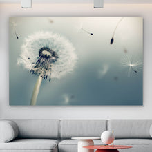 Lade das Bild in den Galerie-Viewer, Acrylglasbild Pusteblume im Schatten Querformat