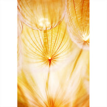 Lade das Bild in den Galerie-Viewer, Aluminiumbild gebürstet Pusteblume im Sonnenlicht Hochformat
