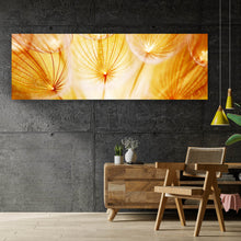 Lade das Bild in den Galerie-Viewer, Aluminiumbild gebürstet Pusteblume im Sonnenlicht Panorama