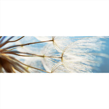 Lade das Bild in den Galerie-Viewer, Poster Pusteblume bei Sonnenlicht Panorama
