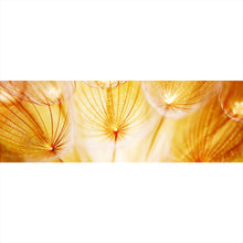 Lade das Bild in den Galerie-Viewer, Aluminiumbild Pusteblume im Sonnenlicht Panorama