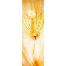 Lade das Bild in den Galerie-Viewer, Aluminiumbild Pusteblume im Sonnenlicht Panorama Hoch
