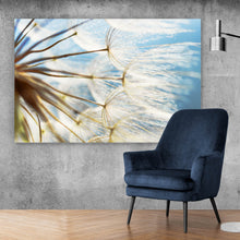 Lade das Bild in den Galerie-Viewer, Poster Pusteblume bei Sonnenlicht Querformat