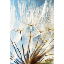 Lade das Bild in den Galerie-Viewer, Spannrahmenbild Pusteblume im Sonnenschein Hochformat