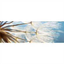 Lade das Bild in den Galerie-Viewer, Acrylglasbild Pusteblume im Sonnenschein Panorama