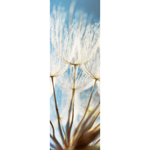 Lade das Bild in den Galerie-Viewer, Acrylglasbild Pusteblume im Sonnenschein Panorama Hoch