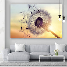 Lade das Bild in den Galerie-Viewer, Spannrahmenbild Pusteblume im Sonnenuntergang Querformat