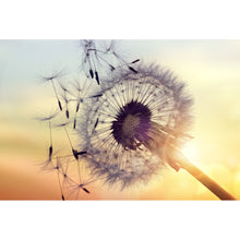 Lade das Bild in den Galerie-Viewer, Spannrahmenbild Pusteblume im Sonnenuntergang Querformat