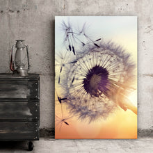 Lade das Bild in den Galerie-Viewer, Poster Pusteblume im Sonnenuntergang Hochformat