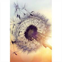 Lade das Bild in den Galerie-Viewer, Poster Pusteblume im Sonnenuntergang Hochformat