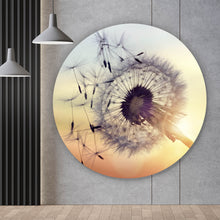 Lade das Bild in den Galerie-Viewer, Aluminiumbild gebürstet Pusteblume im Sonnenuntergang Kreis