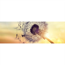 Lade das Bild in den Galerie-Viewer, Poster Pusteblume im Sonnenuntergang Panorama