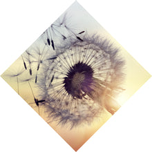 Lade das Bild in den Galerie-Viewer, Poster Pusteblume im Sonnenuntergang Raute