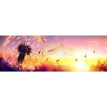 Lade das Bild in den Galerie-Viewer, Acrylglasbild Pusteblume im Wind Panorama