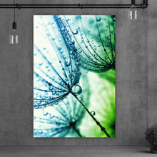 Lade das Bild in den Galerie-Viewer, Aluminiumbild Pusteblume mit Tau Hochformat