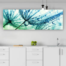 Lade das Bild in den Galerie-Viewer, Poster Pusteblume mit Tau Panorama