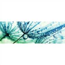 Lade das Bild in den Galerie-Viewer, Poster Pusteblume mit Tau Panorama