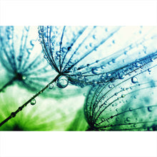 Lade das Bild in den Galerie-Viewer, Leinwandbild Pusteblume mit Tau Querformat