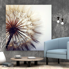 Lade das Bild in den Galerie-Viewer, Poster Pusteblume Nahaufnahme Quadrat