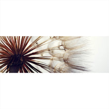 Lade das Bild in den Galerie-Viewer, Aluminiumbild Pusteblume Nahaufnahme Panorama