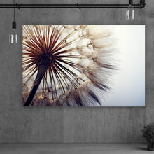 Lade das Bild in den Galerie-Viewer, Poster Pusteblume Nahaufnahme Querformat