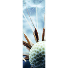 Lade das Bild in den Galerie-Viewer, Aluminiumbild gebürstet Pusteblume No.1 Panorama Hoch