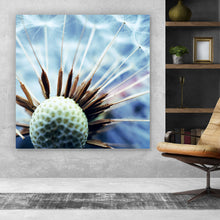 Lade das Bild in den Galerie-Viewer, Leinwandbild Pusteblume No.1 Quadrat