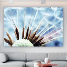 Lade das Bild in den Galerie-Viewer, Aluminiumbild gebürstet Pusteblume No.1 Querformat