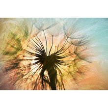 Lade das Bild in den Galerie-Viewer, Spannrahmenbild Pusteblume Vintage Querformat
