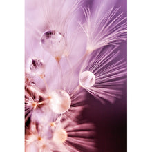 Lade das Bild in den Galerie-Viewer, Poster Pusteblume Violett Hochformat