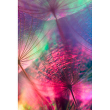Lade das Bild in den Galerie-Viewer, Poster Pusteblumen in bunten Pastellfarben Hochformat