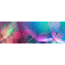Lade das Bild in den Galerie-Viewer, Poster Pusteblumen in bunten Pastellfarben Panorama