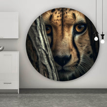 Lade das Bild in den Galerie-Viewer, Aluminiumbild gebürstet Raubkatze auf der Lauer Kreis