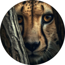 Lade das Bild in den Galerie-Viewer, Aluminiumbild gebürstet Raubkatze auf der Lauer Kreis